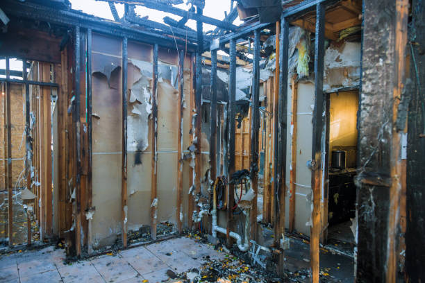 Professional Fire Damage Removal technician working in Derwood, MD